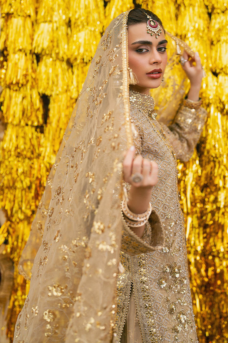Mohsin Naveed Ranjha – Roshni Style