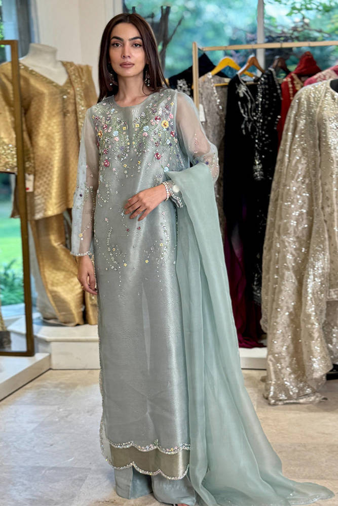 Stellaria In Tissue Organza With Dupata And Pants