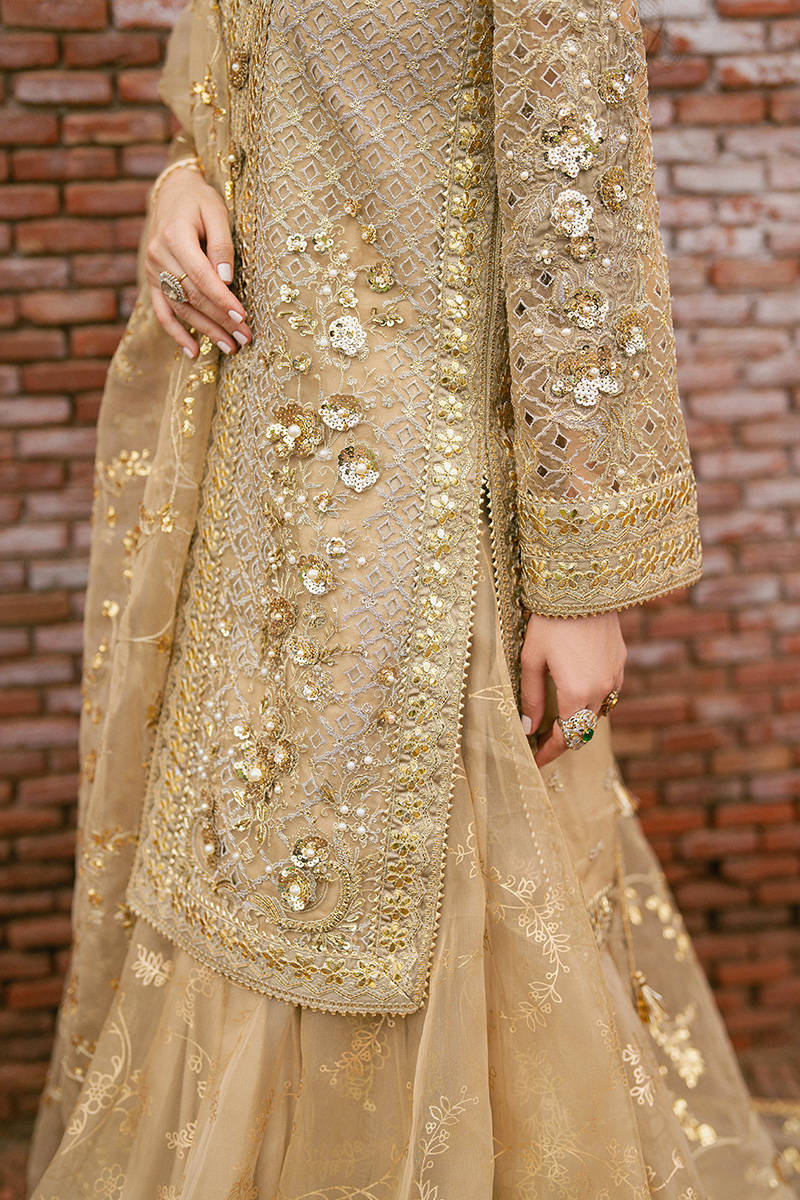 Mohsin Naveed Ranjha – Roshni Style