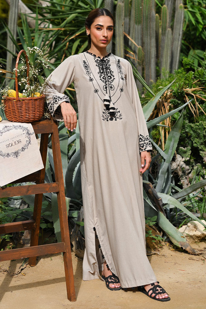 Devon with Modern Styling | Ansab Jahangir
