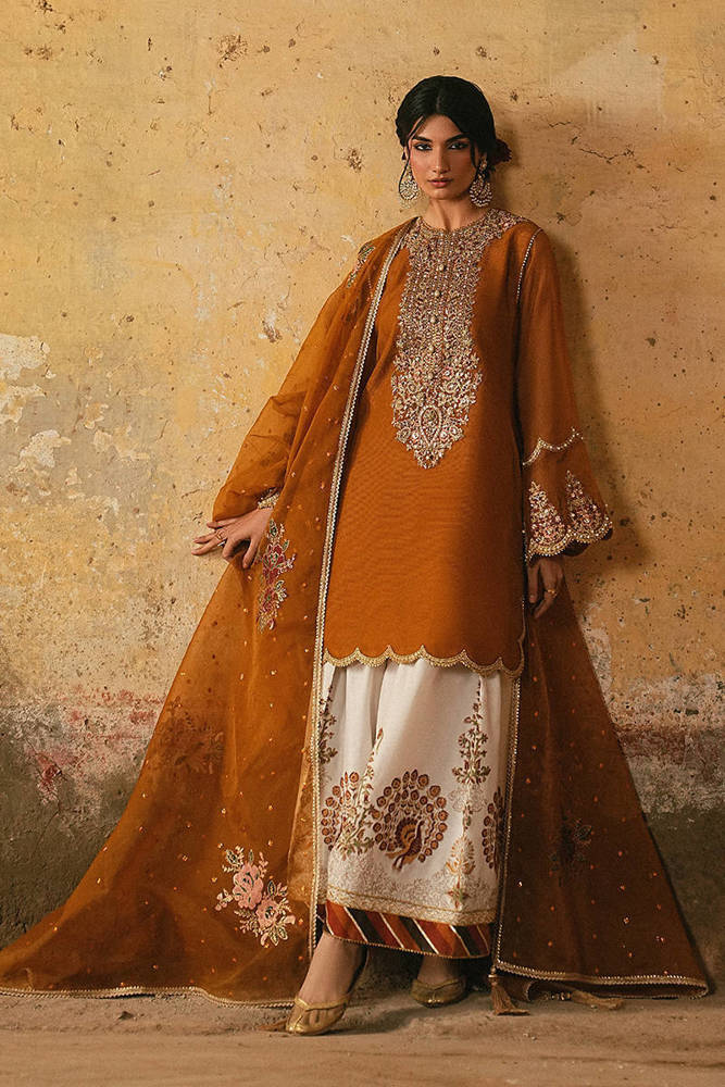 Mohsin Naveed Ranjha