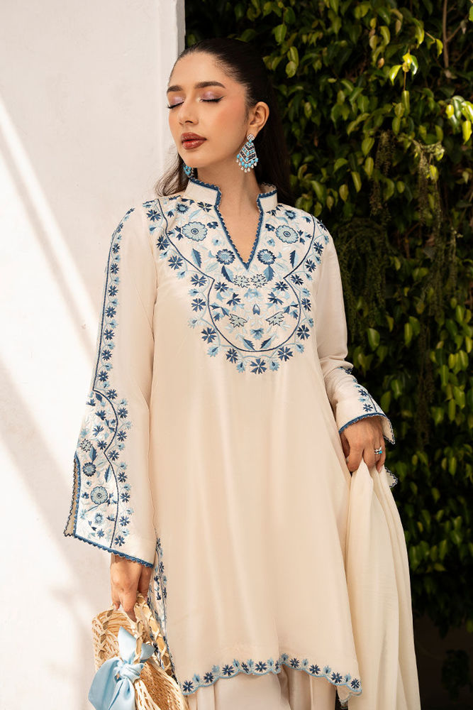 Dani Shirt and Dupatta