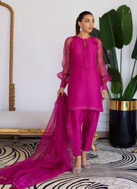 https://www.farahtalibaziz.com.pk/images/thumbs/0014131_elio-hot-pink-raw-silk-shirt-shalwar-with-dupatta.jpeg