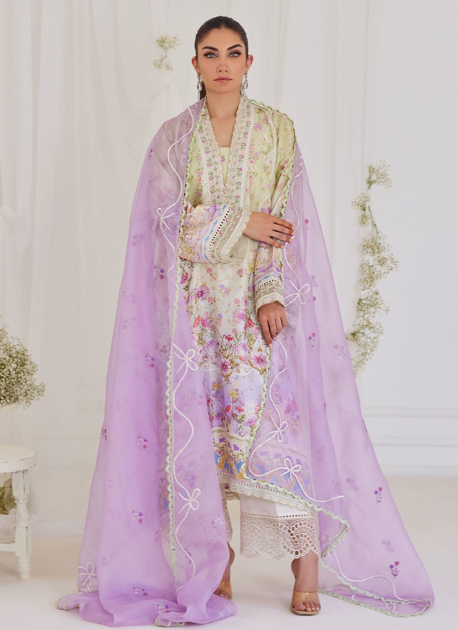 https://www.farahtalibaziz.com.pk/images/thumbs/0014589_renata-embroidered-organza-dupatta.jpeg