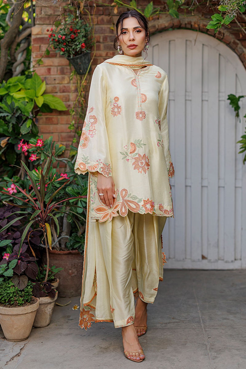 Capri Shirt and Dupatta