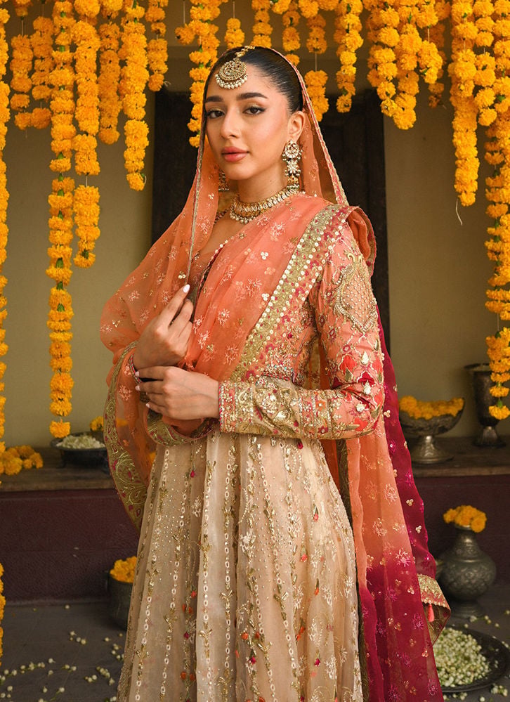 Wedding Wear - Reporting