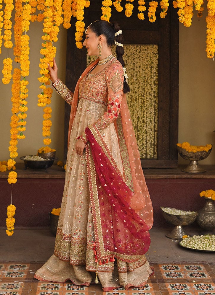 Wedding Wear - Reporting