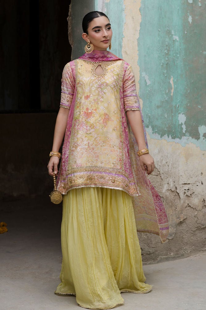 Jhil Mil  - Shirt and Dupatta