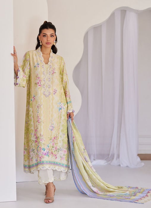 Leora Ombre Shirt And Dupatta