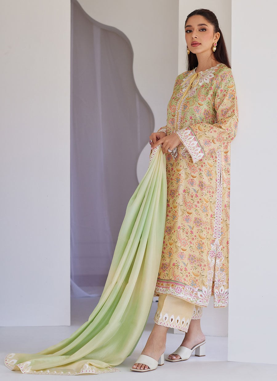 Leora Ombre Shirt And Dupatta