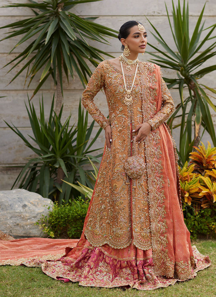 Sitara Champagne Kalidaar