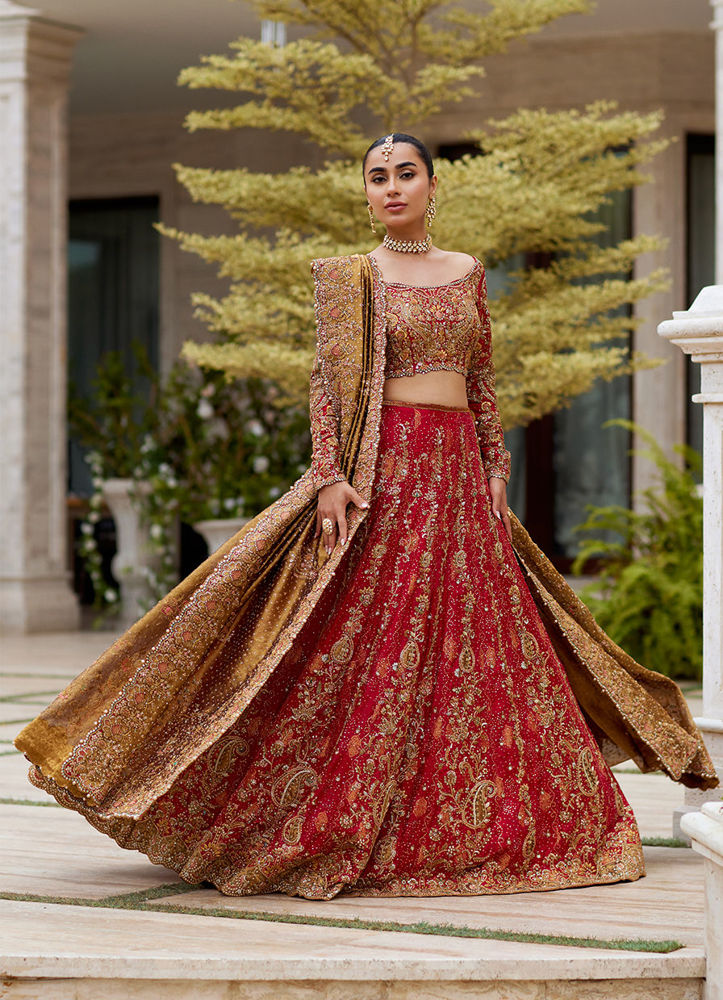 Sitara Champagne Kalidaar