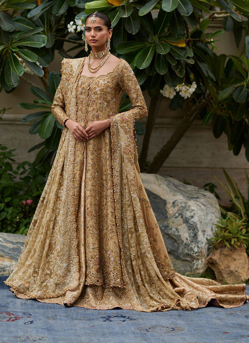 Sitara Champagne Kalidaar