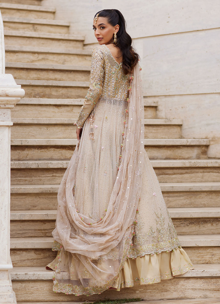 Sitara Champagne Kalidaar - FTAMB25-11