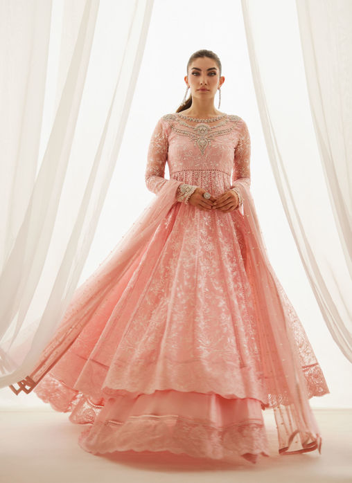 Raina Rust Lehnga Choli