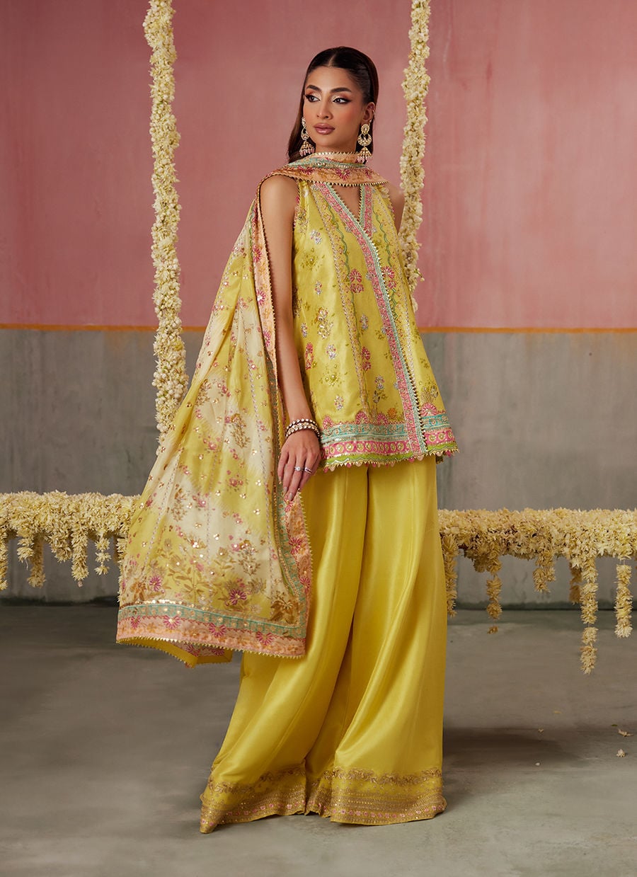 Farah Talib Aziz