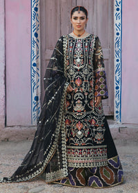 Jungli Kabootar