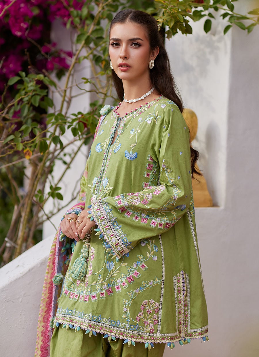 https://www.farahtalibaziz.com.pk/images/thumbs/0028360_carmen-kiwi.jpeg