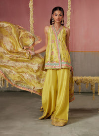 https://www.farahtalibaziz.com.pk/images/thumbs/0030600_zaria-kiwi-shirt-and-dupatta.jpeg