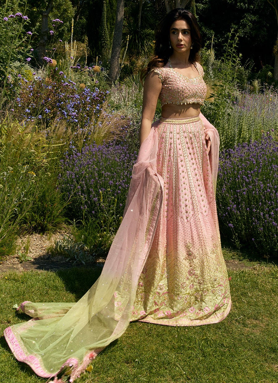 Nola Lehenga Choli