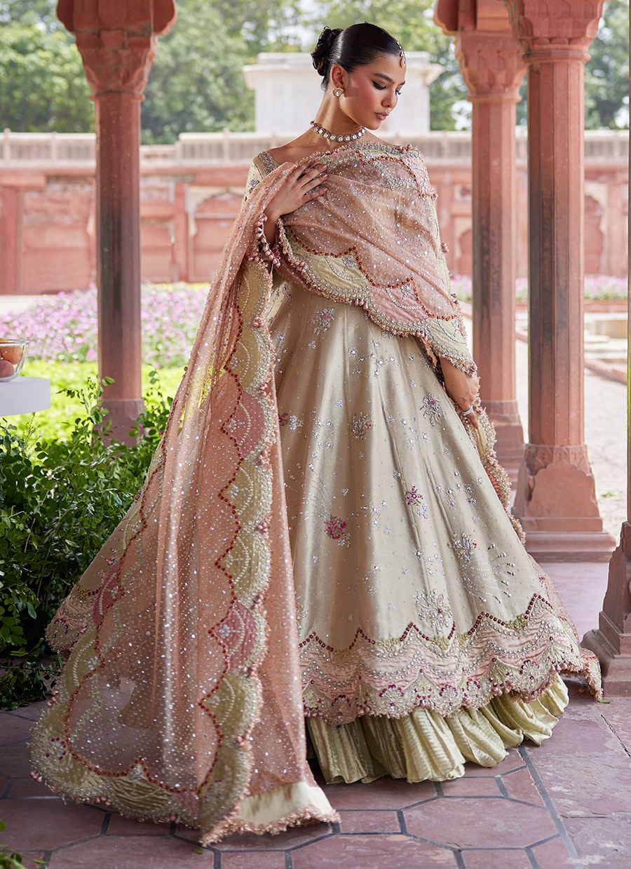 Helena kalidaar and Crushed Lehenga