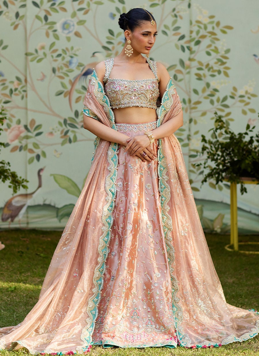 Leny Lehenga Choli