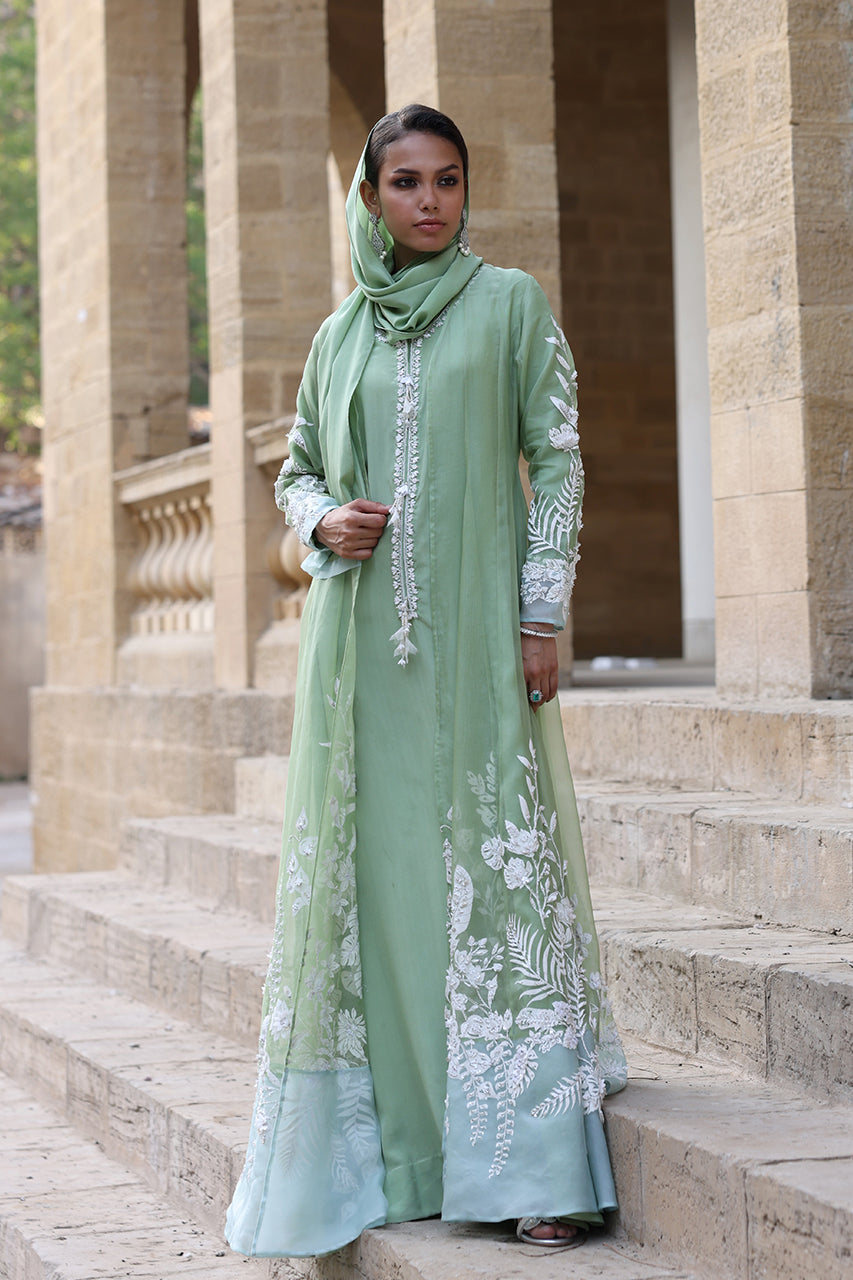 Areej - RTD