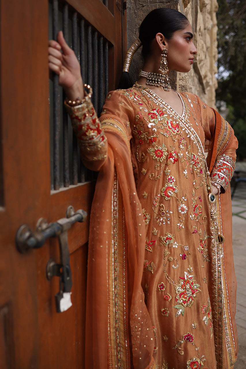 Nargis RTD