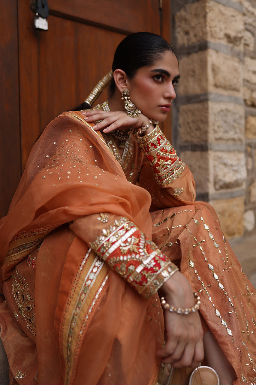 Nargis RTD