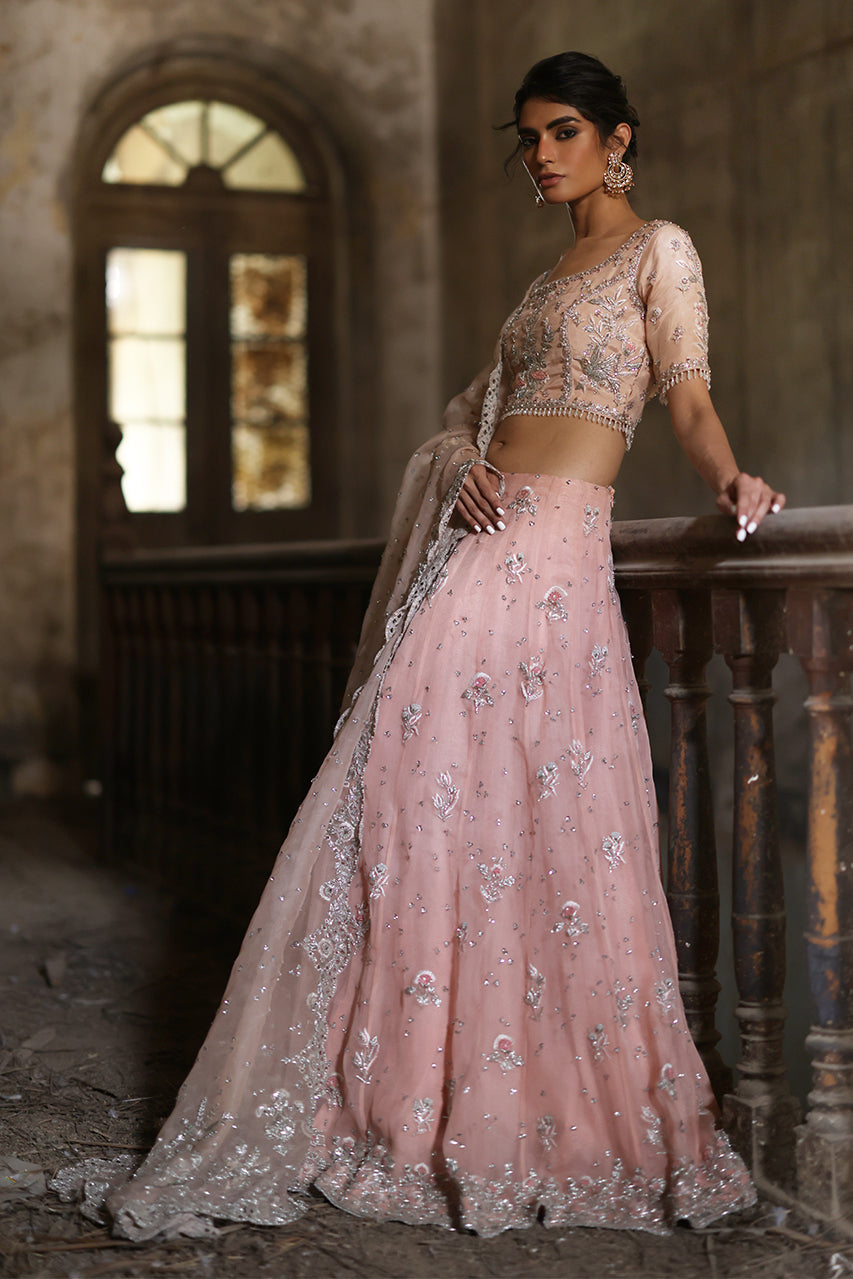 Shirin-Banu - RTD