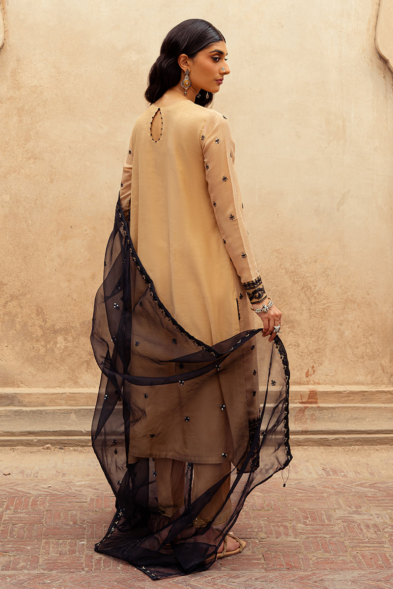 Raven Shed-2Pc (Shirt & Dupatta)