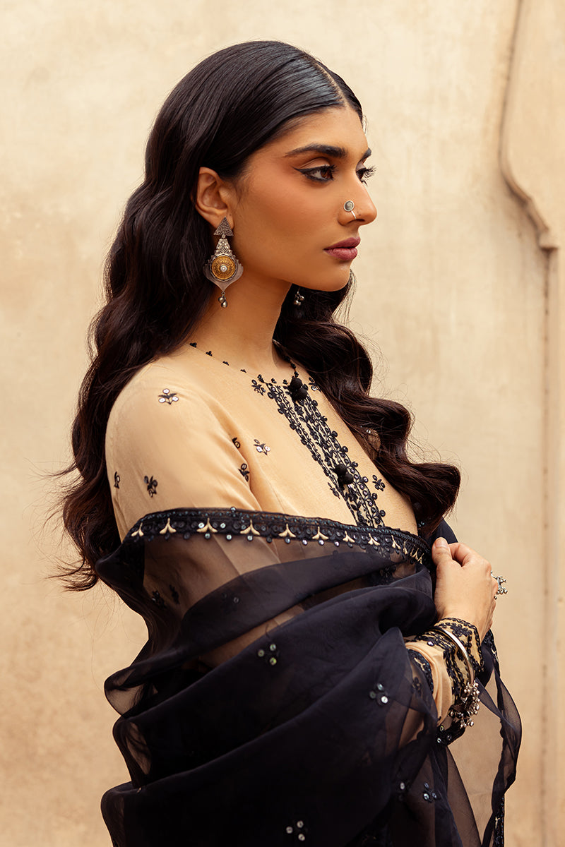 Raven Shed-2Pc (Shirt & Dupatta)