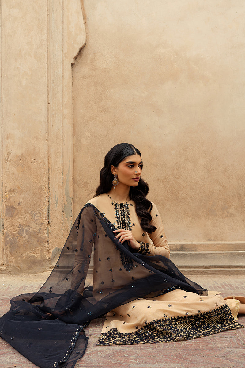 Raven Shed-2Pc (Shirt & Dupatta)
