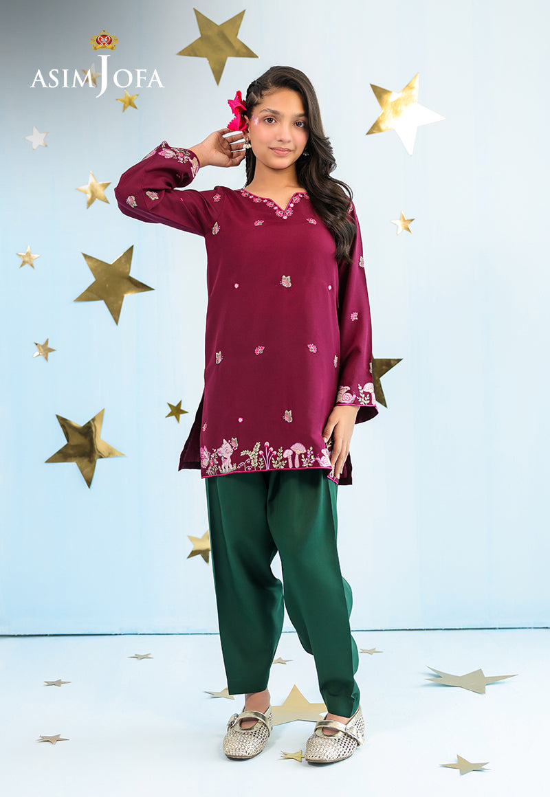 AJKLP-02 Embroidered Lawn Silk Stitched 2 Pcs