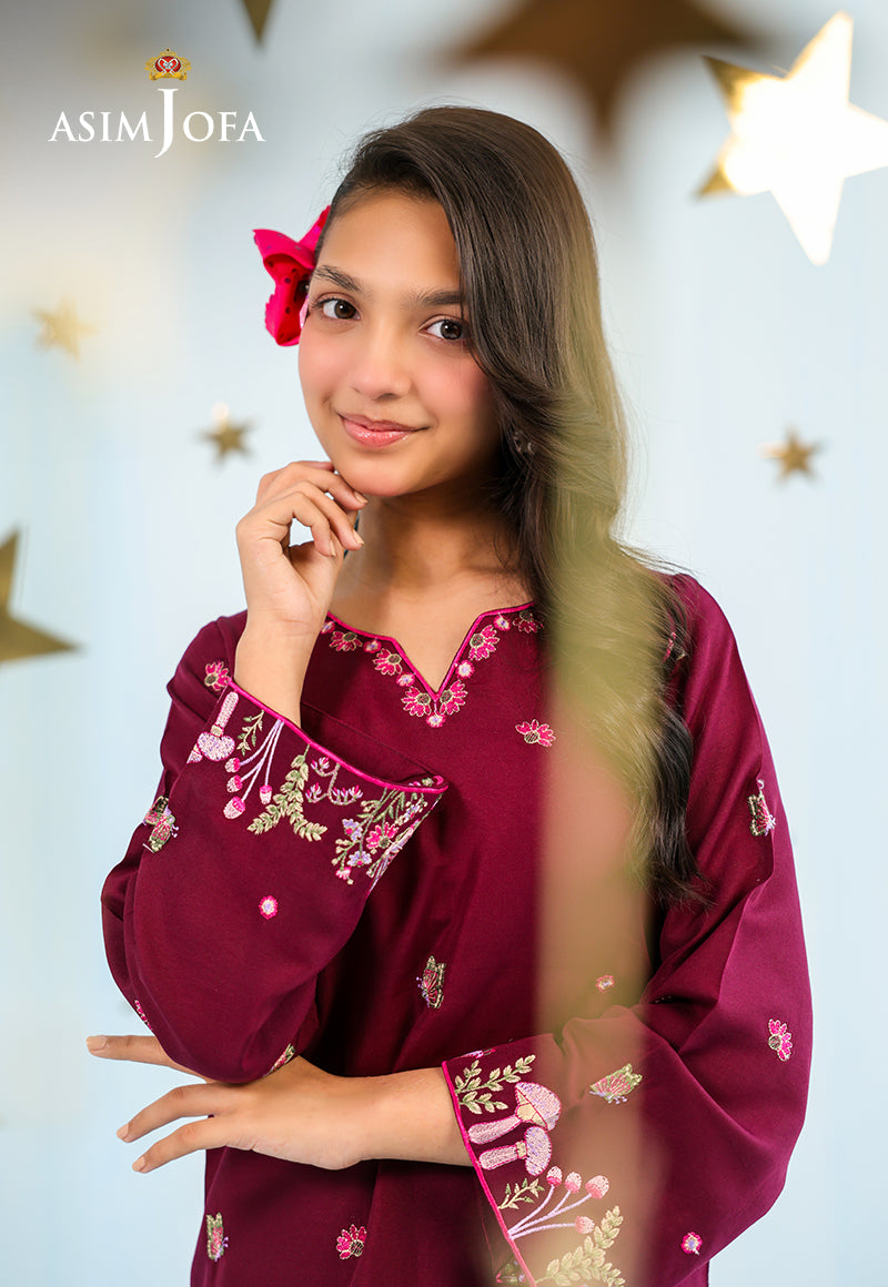AJKLP-02 Embroidered Lawn Silk Stitched 2 Pcs