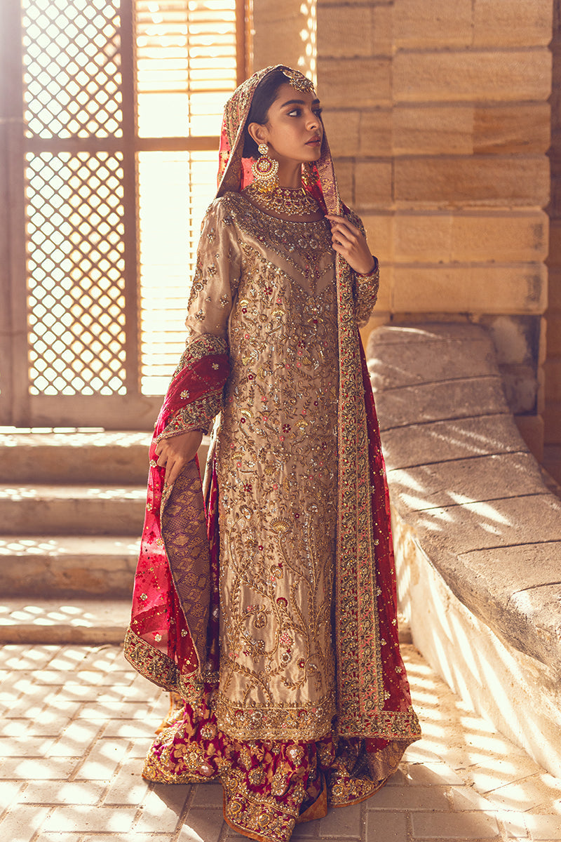 Sana Abbas