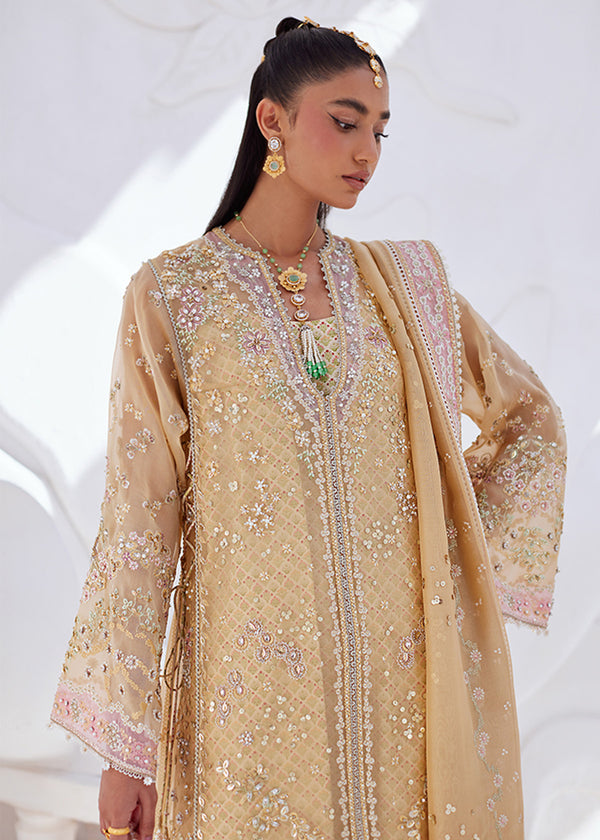 Suffuse – Suha Style