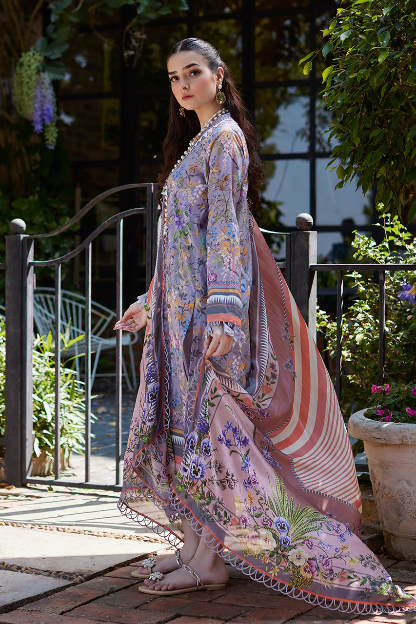 Lavender Dream