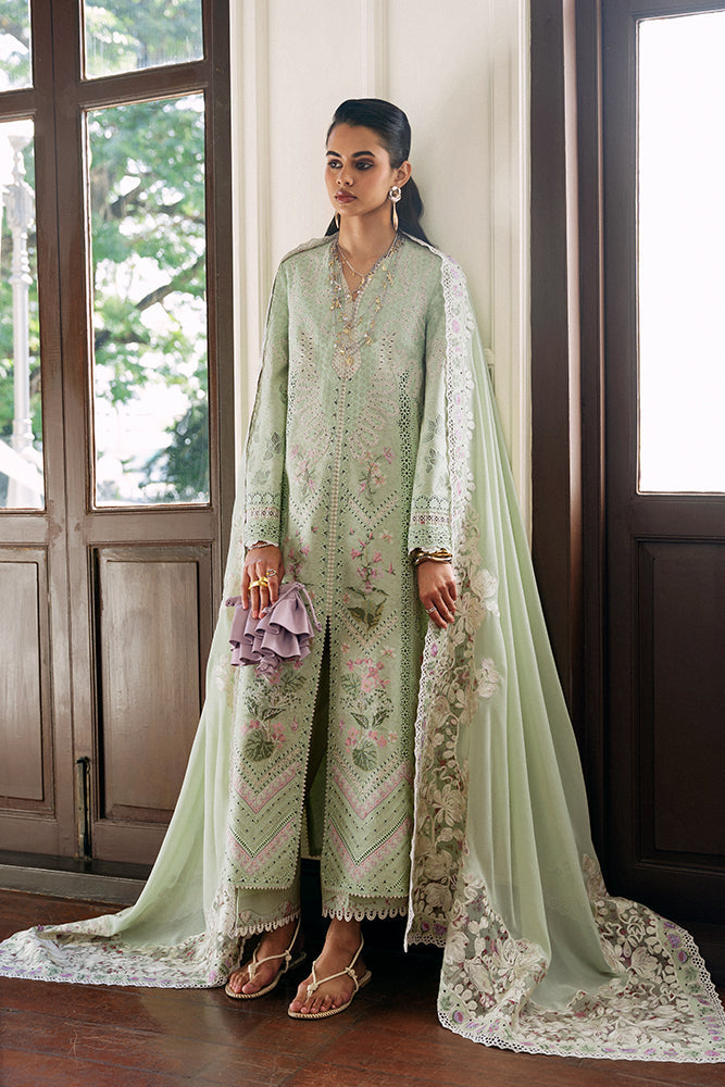 https://cdn.shopify.com/s/files/1/1146/5868/files/06Green.jpg?v=1770893775