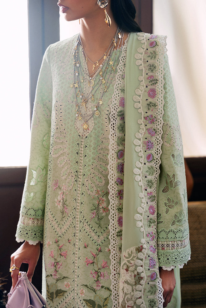 https://cdn.shopify.com/s/files/1/1146/5868/files/07Green.jpg?v=1770891126