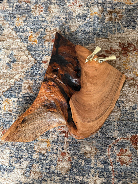 Humming bird platter/tray 400 cyra