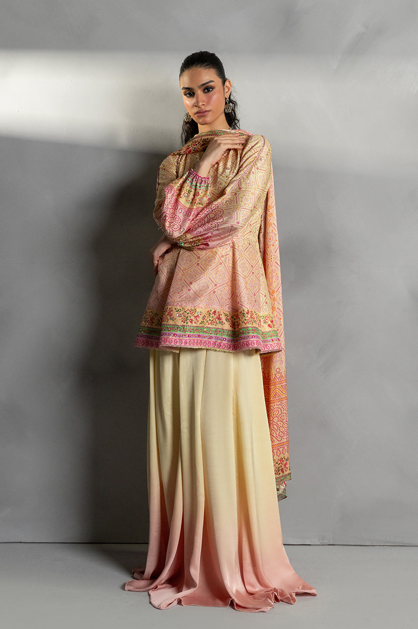 Chunri Breeze - Peplum & Dupatta