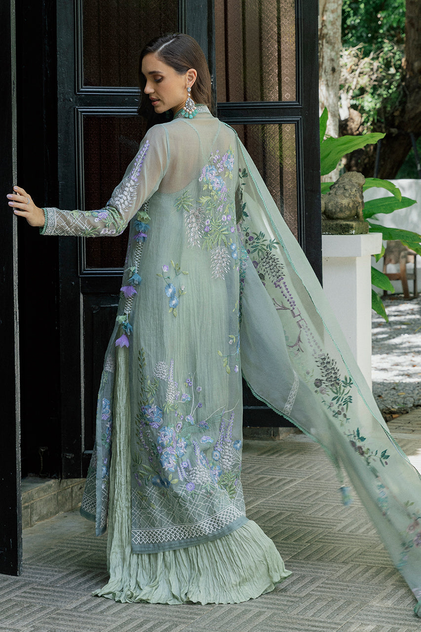 Rodha - RTD