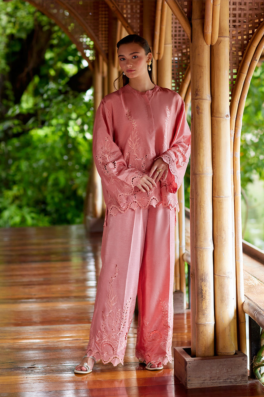 Coral Moment