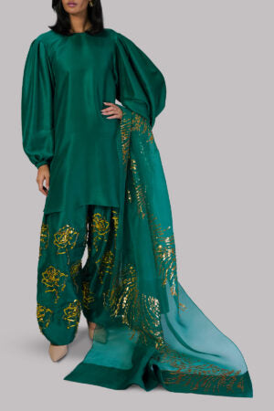 Galapagos Green Embellished Raw Silk Set
