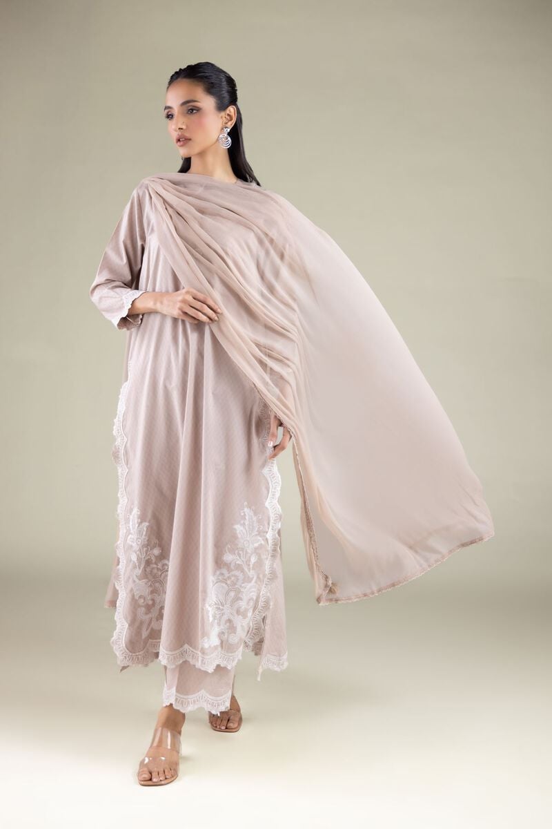 Draped Lace Dupatta