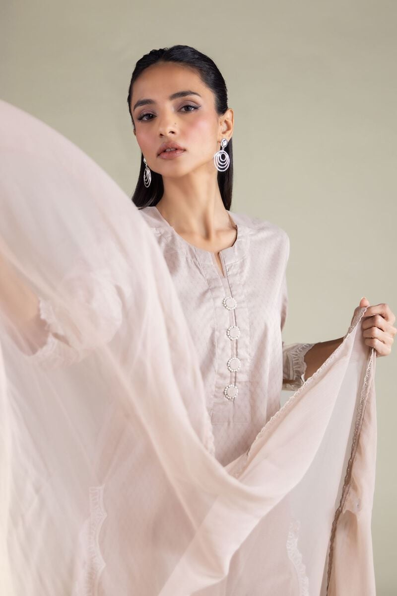 Draped Lace Dupatta