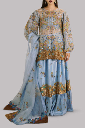 Cashmere Blue Embellished Organza Skirt Set