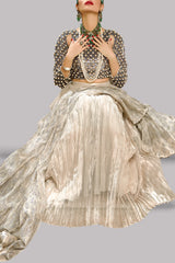 Silver Embellished Skirt Set