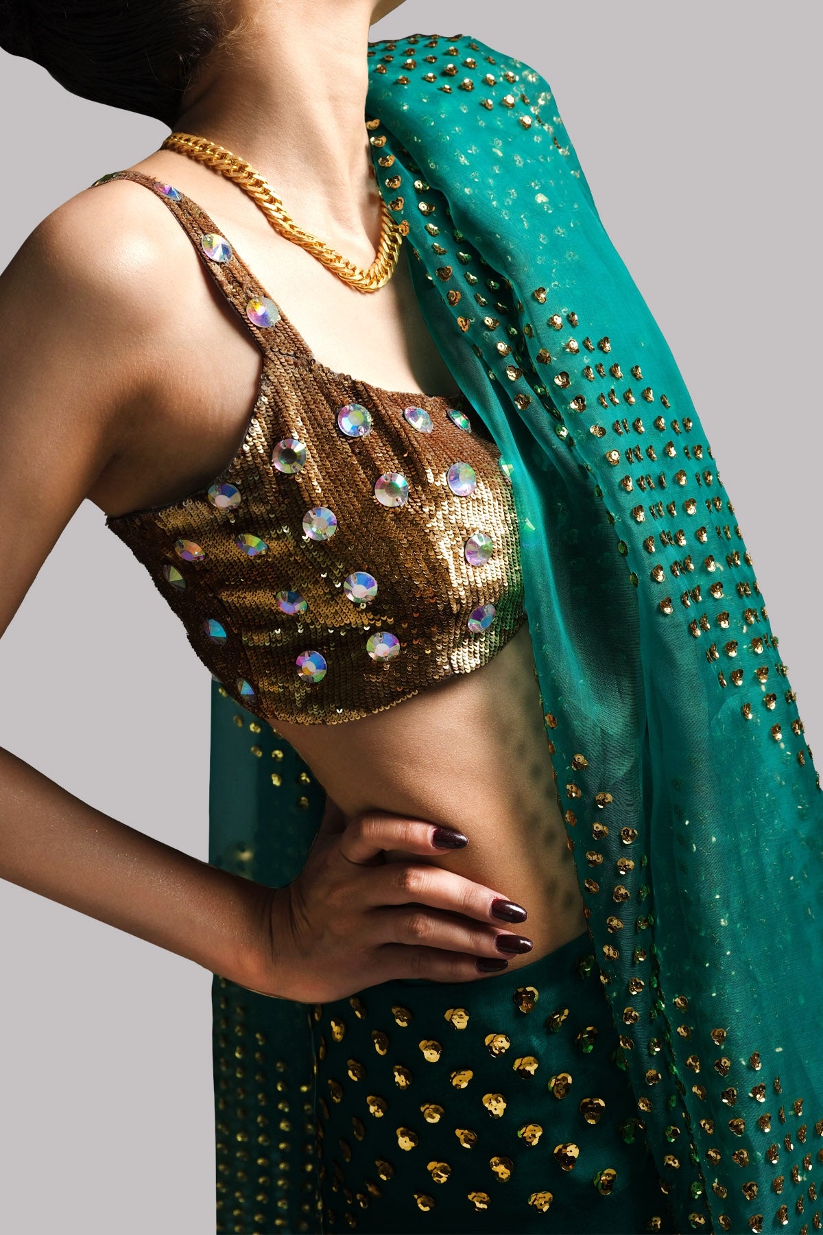 Shady Glade Embellished Organza Sari